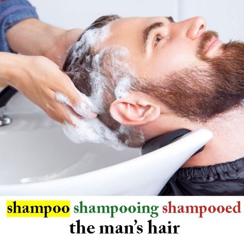 Shampoo2